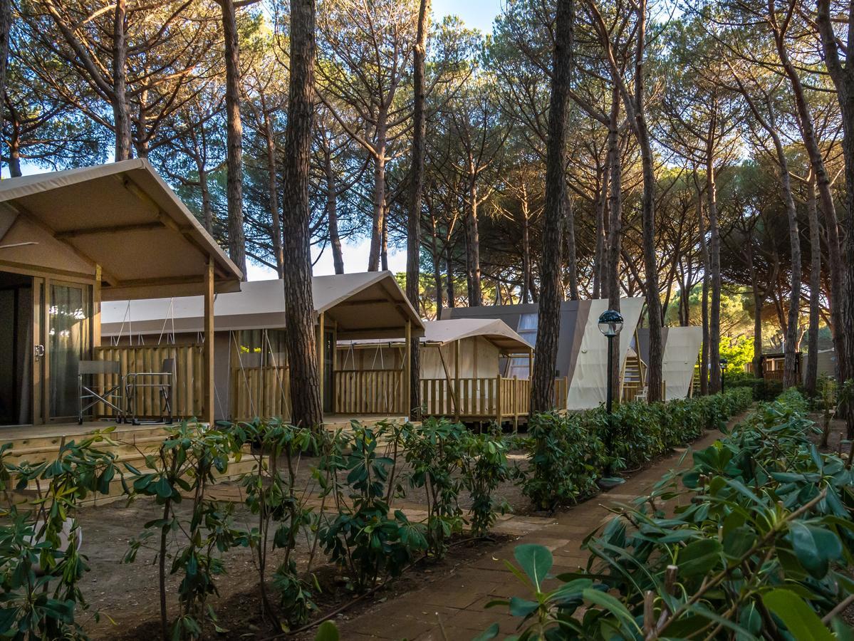מרינה די ביבונה Camping Free Beach מראה חיצוני תמונה